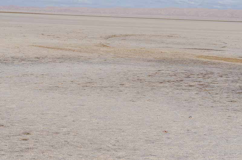 82 - Tunez - Chott el Djerid - lago salado